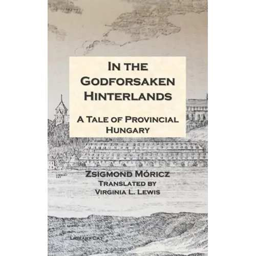 In the Godforsaken Hinterlands: A Tale of Provincial Hungary - Paperback