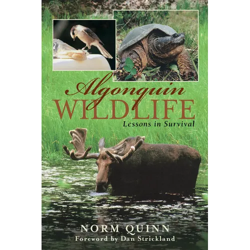 Algonquin Wildlife: Lessons in Survival - Paperback