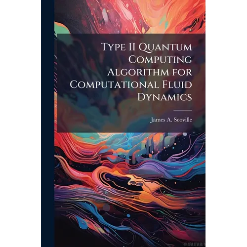 Type II Quantum Computing Algorithm for Computational Fluid Dynamics - Paperback