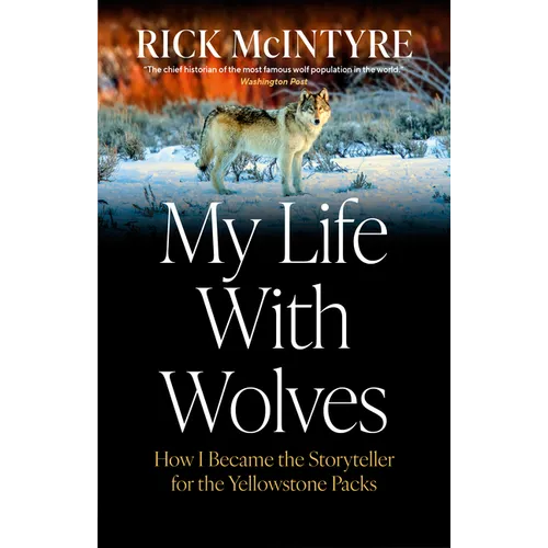 My Life with Wolves: How I Became the Storyteller for the Yellowstone Packs - Hardcover