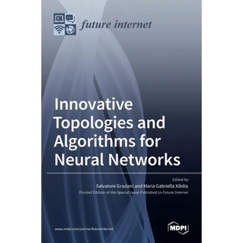 Innovative Topologies and Algorithms for Neural Networks - Hardcover