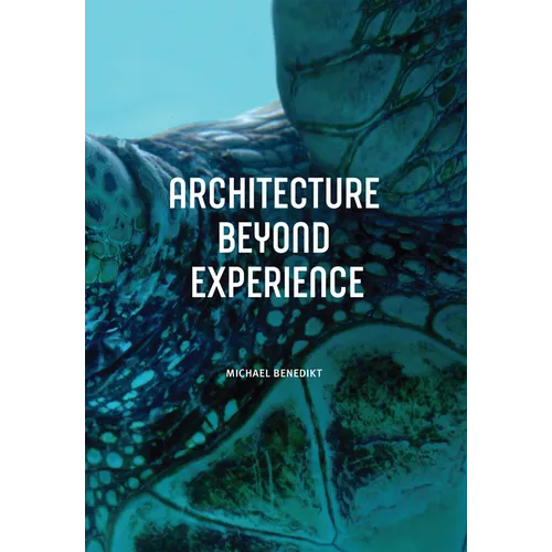 Architecture Beyond Experience - Paperback