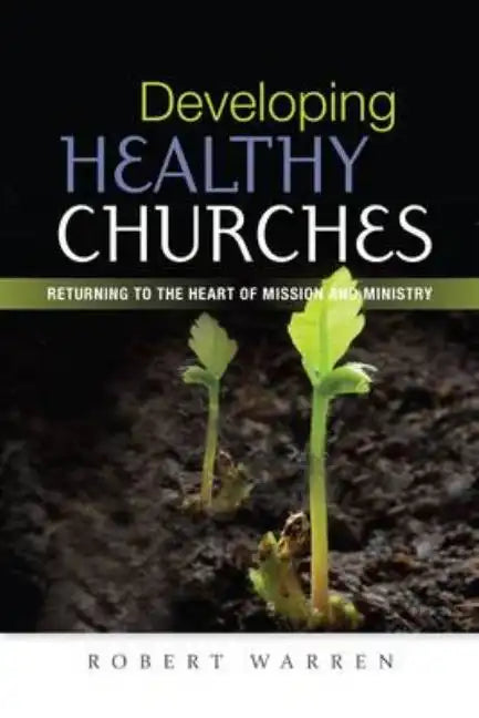 Developing Healthy Churches - Paperback