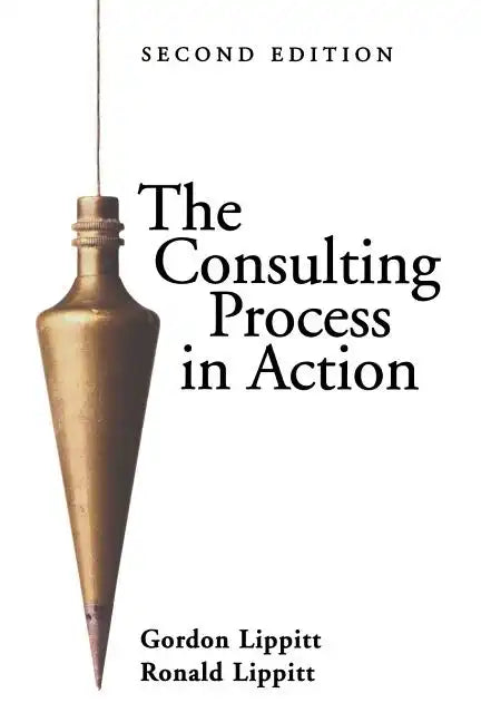 The Consulting Process in Action - Paperback
