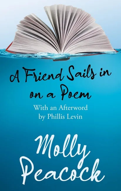 A Friend Sails in on a Poem: Essays on Friendship, Freedom and Poetic Form - Paperback