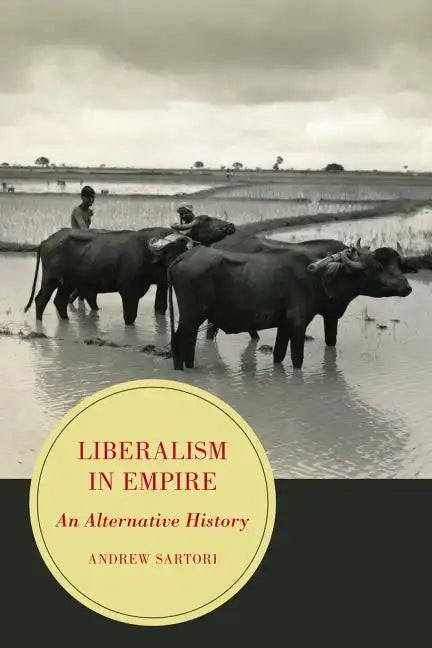 Liberalism in Empire: An Alternative History Volume 8 - Paperback