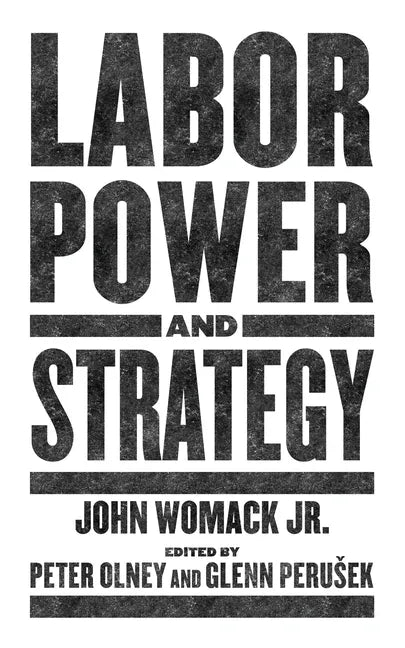 Labor Power and Strategy - Paperback