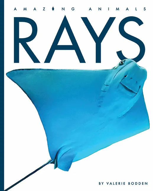 Rays - Paperback