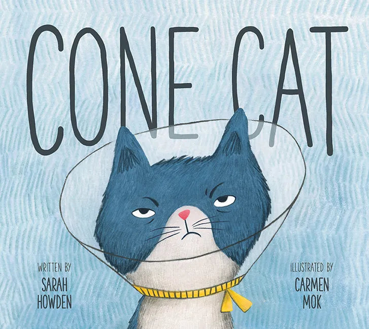 Cone Cat - Hardcover