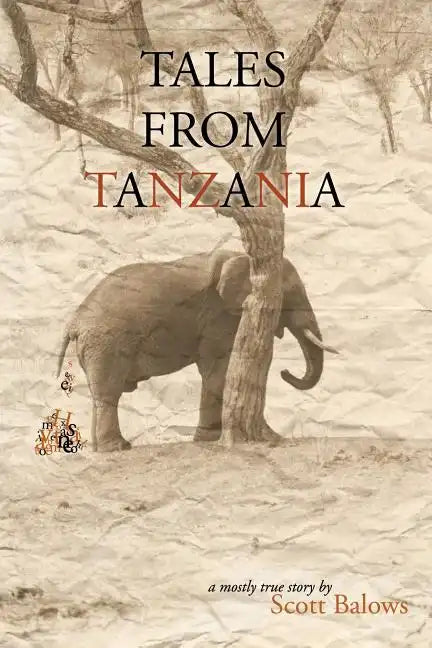 Tales from Tanzania: A mostly true story - Paperback