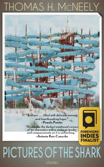 Pictures of the Shark: Stories - Paperback