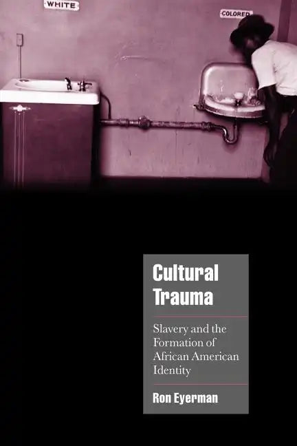 Cultural Trauma: Slavery and the Formation of African American Identity - Paperback