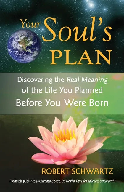 Your Soul's Plan: Discovering the Real Meaning of the Life You Planned Before You Were Born - Paperback