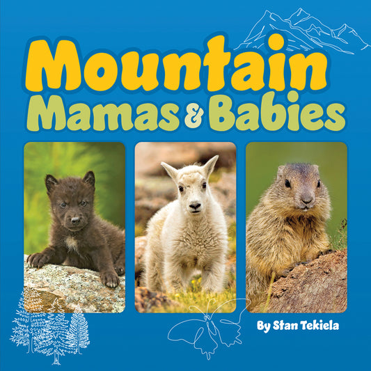 Mountain Mamas & Babies - Board Book