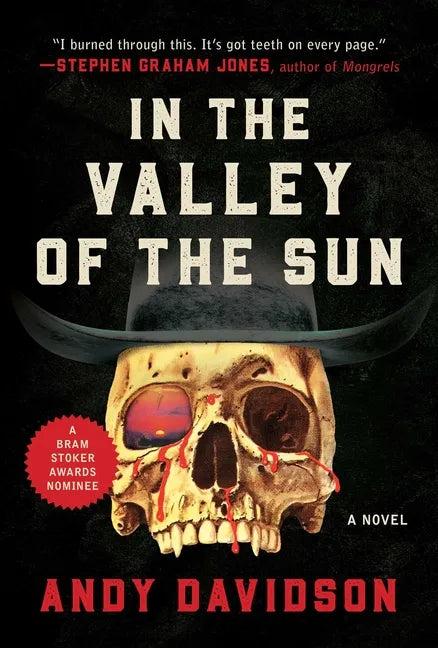 In the Valley of the Sun - Paperback