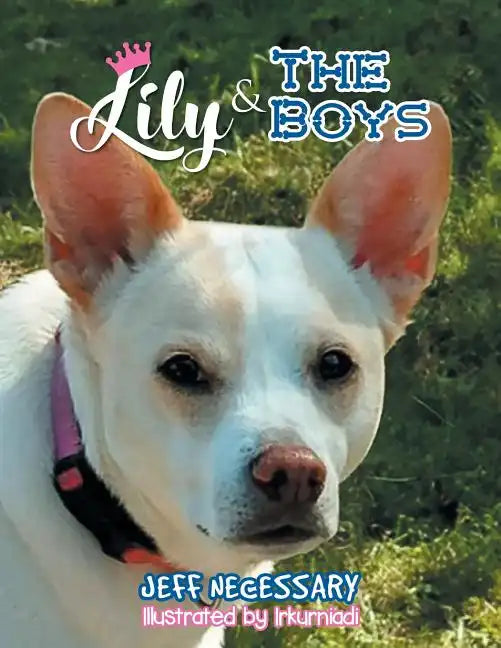 Lily and The Boys - Paperback