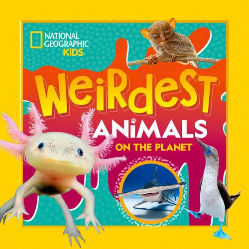 Weirdest Animals on the Planet - Paperback
