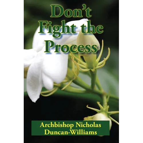 Don't Fight the Process: Yielding Totally to God's Plan to Make You Great - Paperback
