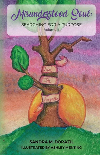 Misunderstood Soul: Searching for a Purpose - Paperback