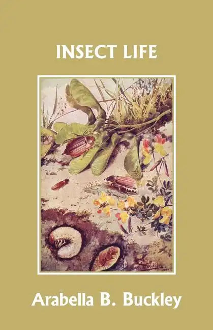 Insect Life (Yesterday's Classics) - Paperback