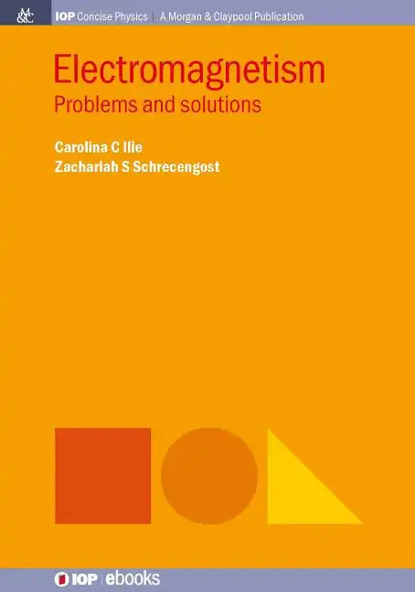 Electromagnetism: Problems and Solutions - Paperback