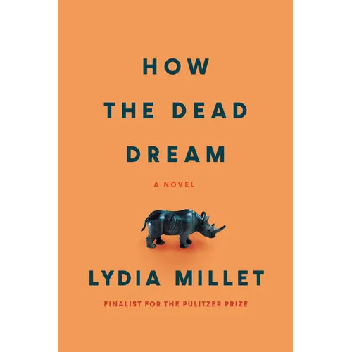 How the Dead Dream - Paperback