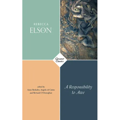 A Responsibility to Awe - Paperback