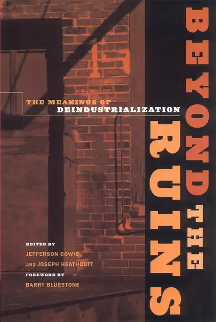 Beyond the Ruins: The Meanings of Deindustrialization - Paperback