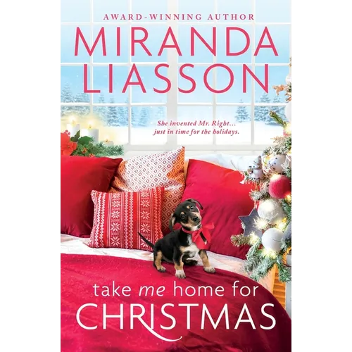 Take Me Home for Christmas - Paperback
