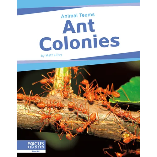 Ant Colonies - Library Binding