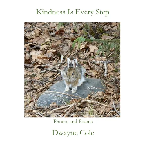 Kindness Is Every Step - Paperback