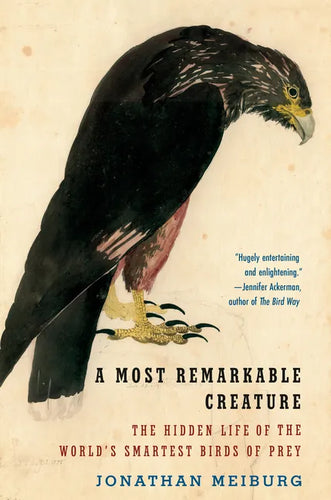 A Most Remarkable Creature: The Hidden Life of the World's Smartest Birds of Prey - Paperback