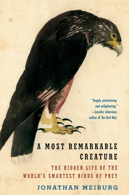 A Most Remarkable Creature: The Hidden Life of the World's Smartest Birds of Prey - Paperback