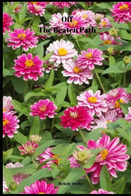 Off The Beaten Path: 4 year Blood Glucose Tracker - Paperback