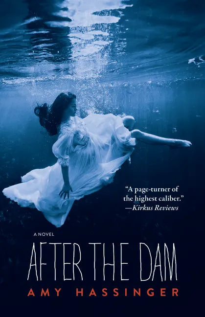 After the Dam - Paperback