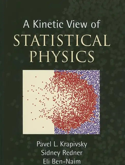 A Kinetic View of Statistical Physics - Hardcover