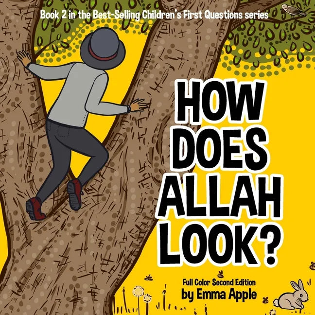 How Does Allah Look? - Paperback
