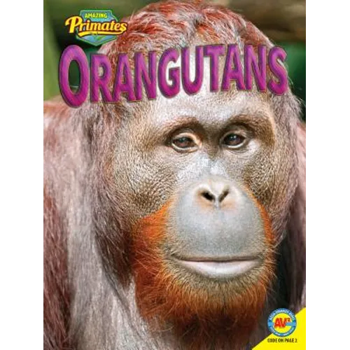 Orangutans - Paperback