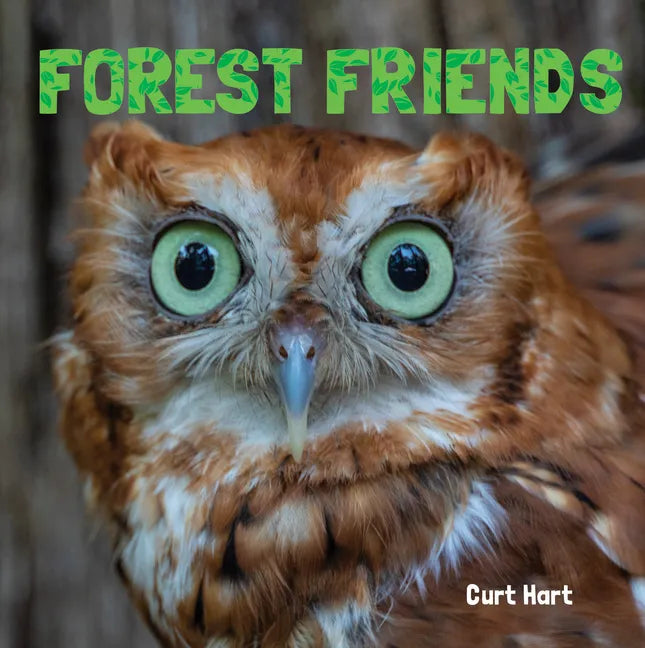 Forest Friends - Board Book