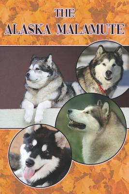 The Alaska Malamute: A Complete and Comprehensive Beginners Guide To: Buying, Owning, Health, Grooming, Training, Obedience, Understanding - Paperback