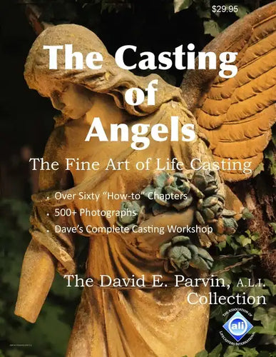 The Casting of Angels - Paperback