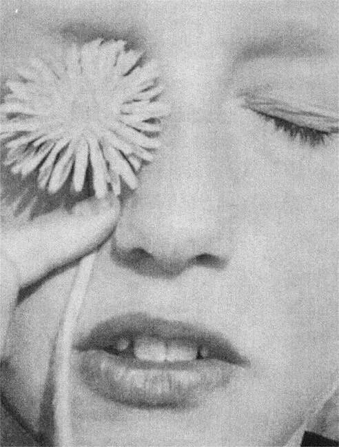 Ok, No Response - Paperback