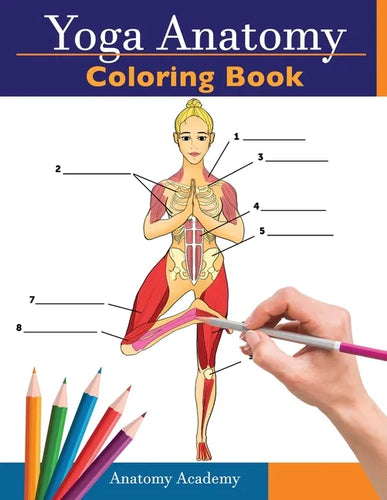 Yoga Anatomy Coloring Book: 3-in-1 Collection Set 150+ Incredibly Detailed Self-Test Beginner, Intermediate & Expert Yoga Poses Color workbook - Paperback