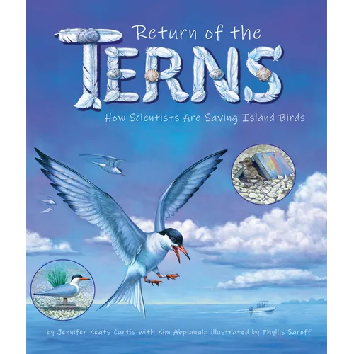 Return of the Terns: How Scientists Are Saving Island Birds - Paperback