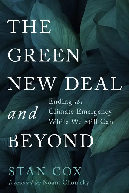The Green New Deal and Beyond: Ending the Climate Emergency While We Still Can - Paperback