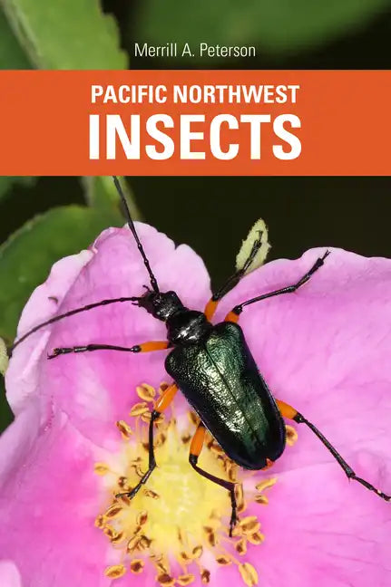 Pacific Northwest Insects - Paperback