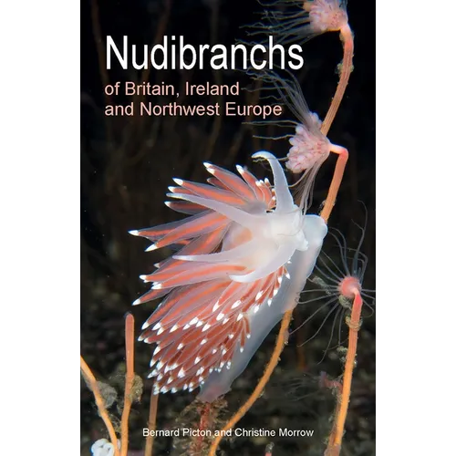 Nudibranchs of Britain, Ireland and Northwest Europe: Second Edition - Paperback
