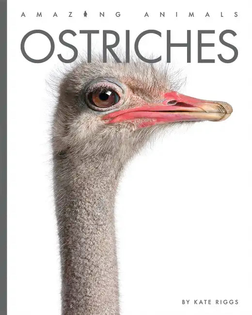Ostriches - Paperback