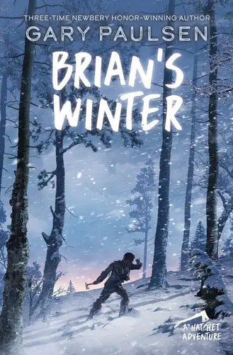 Brian's Winter - Paperback