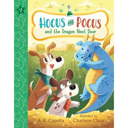 Hocus and Pocus and the Dragon Next Door - Paperback